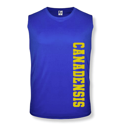 Sleeveless Varsity Boys Dri-fit Camp Shirt Mother Hustler