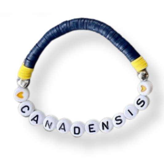 Traditional Disc Camp Colors Bracelet