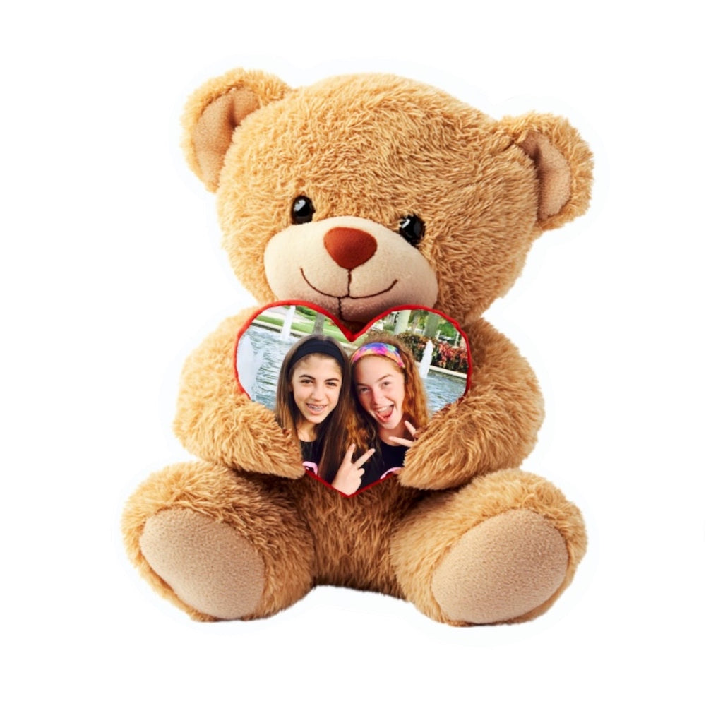 Teddy Bear Photo Pillow NDG 2026