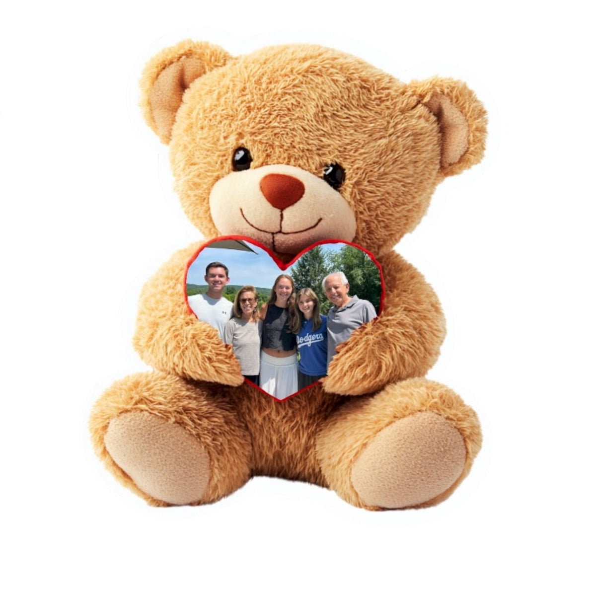 Teddy Bear Photo Pillow NDG 2026