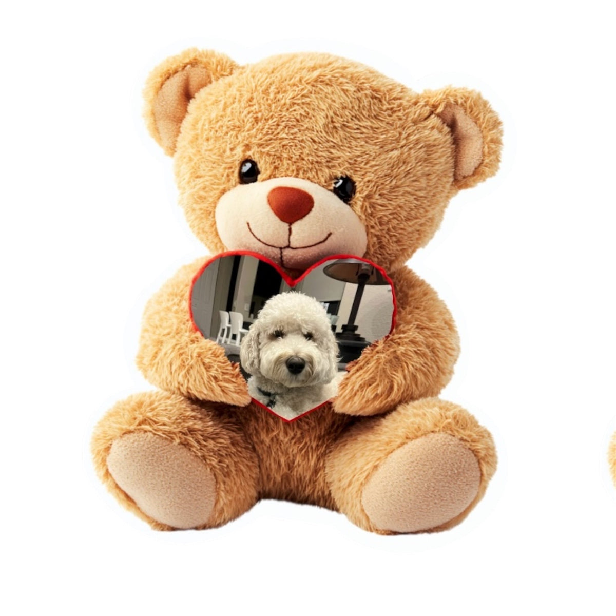 Teddy Bear Photo Pillow NDG 2026