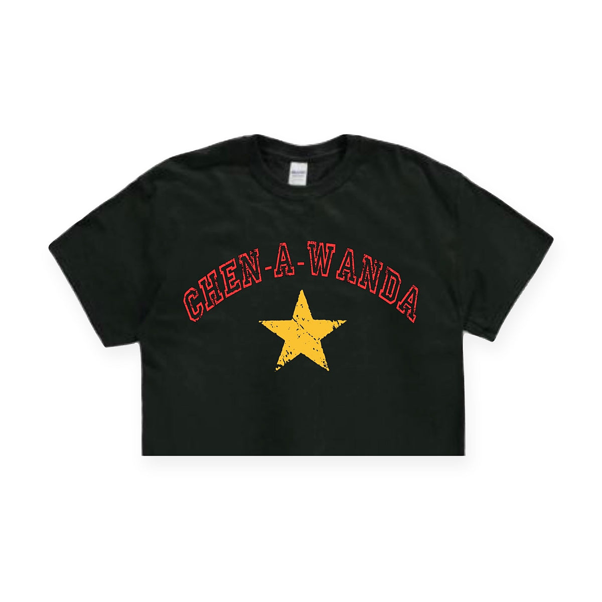 Distressed Star Camp Tee, another example