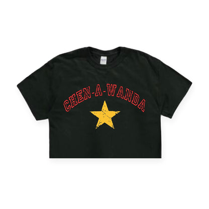 Distressed Star Camp Tee, another example