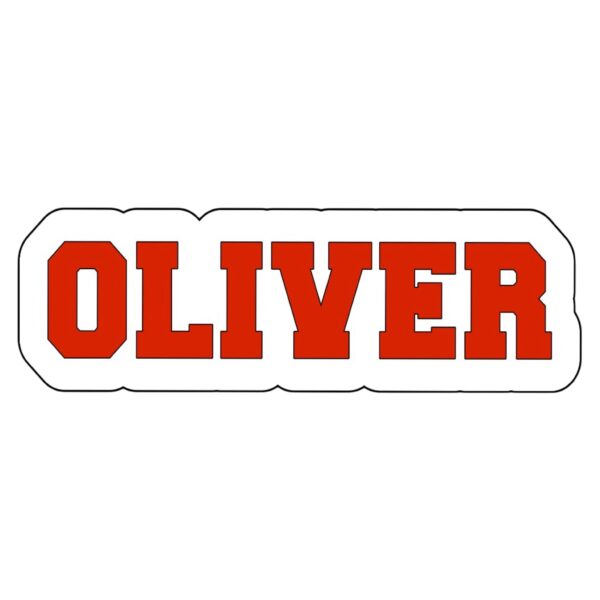 Personalized Varsity Font Name Pillow (16" x 10")