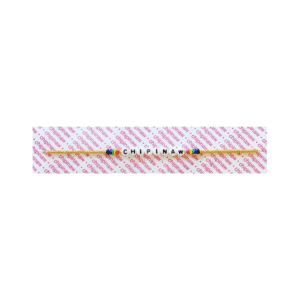 1-FEATURE Silver of Gold Camp Choker with Rainbow Vinyl Discs (1)