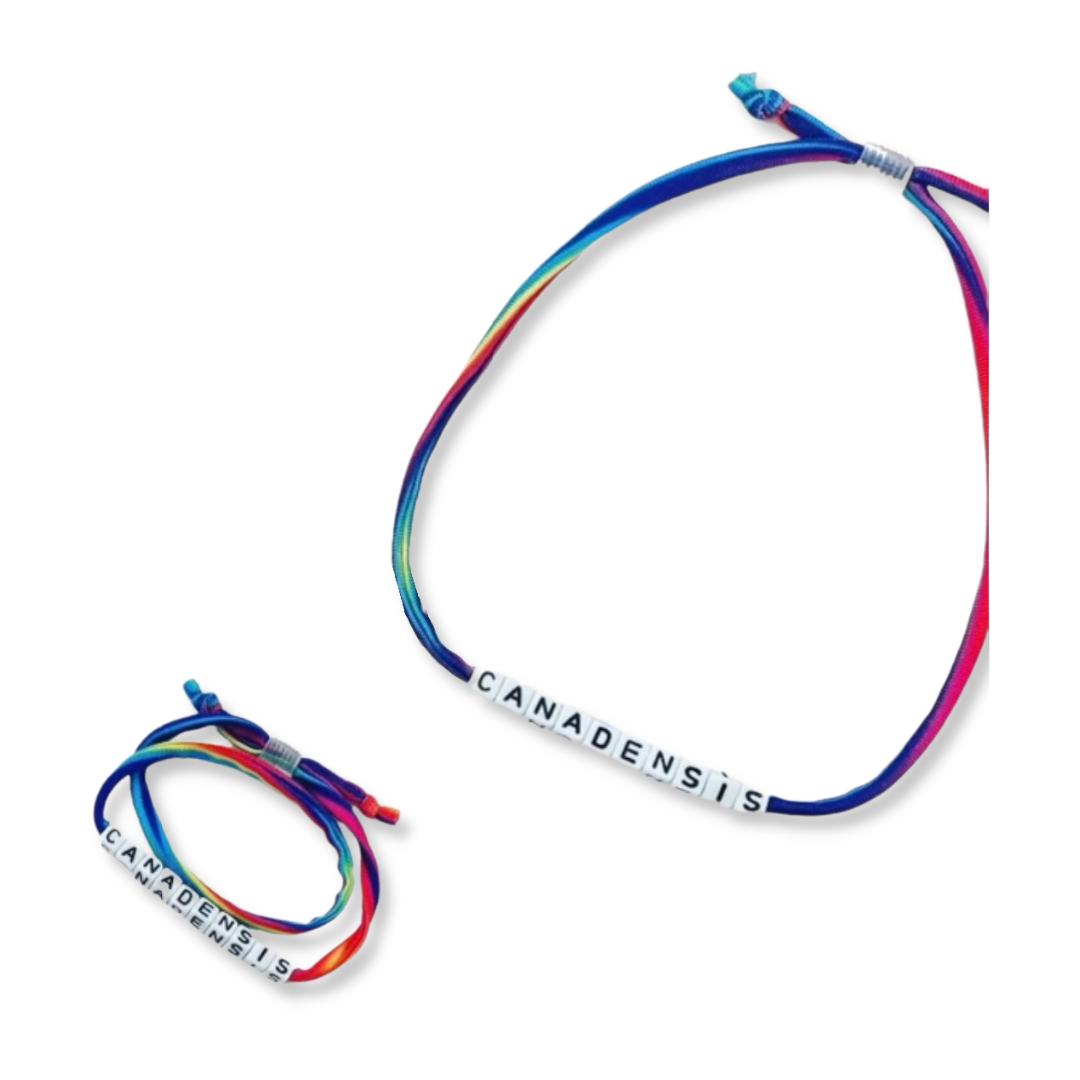 Rainbow Strand Camp Wrap Bracelet or Choker In B Tween In.B.Tween