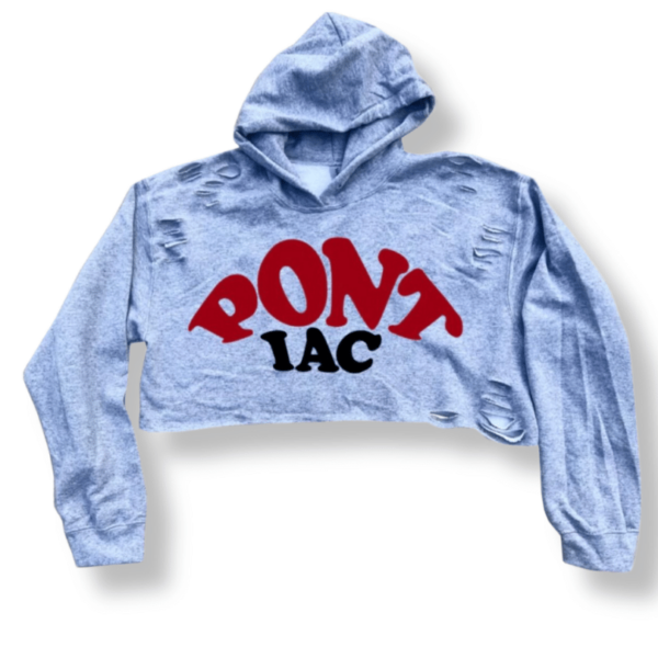 Arched Split Font Cropped Hoodie
