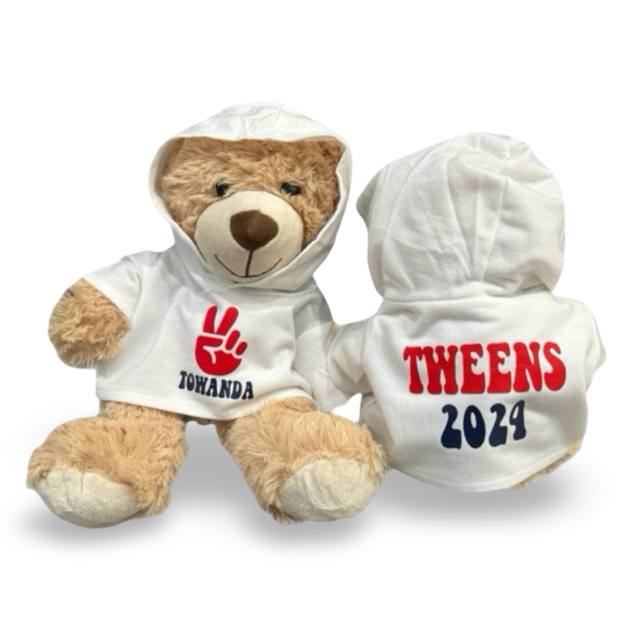 Custom Camp Teddy Bear – CREATE’ D